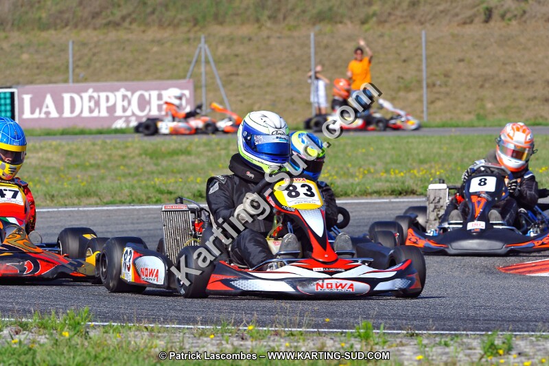 DSC_ (1065).jpg